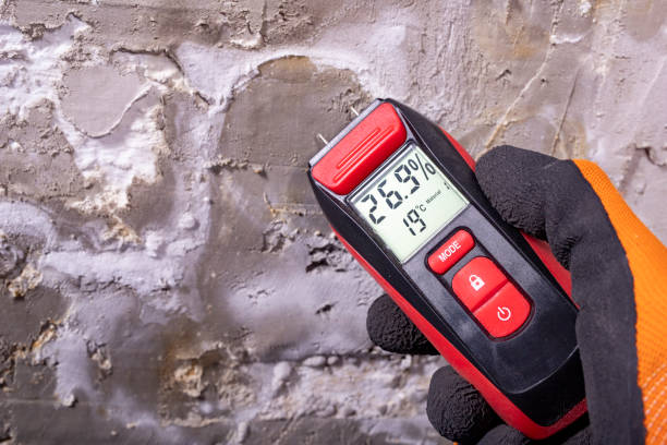 Best Crawl Space Mold Removal  in Conrad, MT