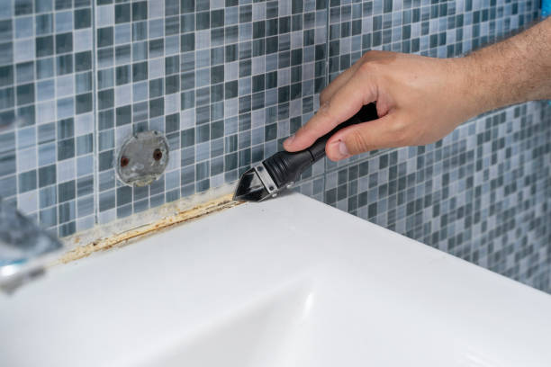 Best Mold Remediation Experts  in Conrad, MT