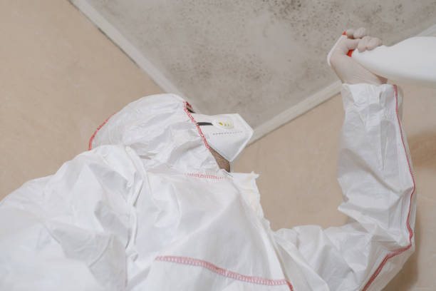 Best Attic Mold Removal  in Conrad, MT