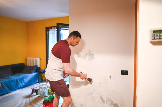 Best Water Damage Restoration  in Conrad, MT