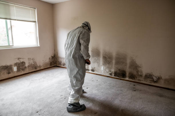 Best Mold Testing  in Conrad, MT